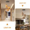 Bamboo Cluster Multi Pendant Light