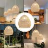 Woven Hanging Rattan Pendant Light Cage Beige