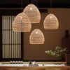 Woven Rattan Cage Light Fixture Hanging Lampshade Black Beige