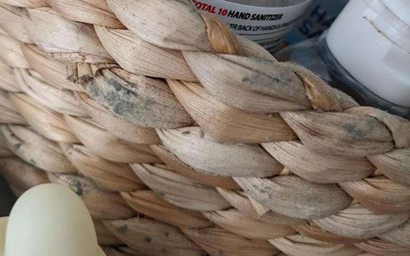 It’s Best To Replace Seagrass Basket If Cleaning Does Not Eliminate Mold Completely