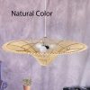 Luminous Pendant Light Rattan Fixture Big Chandelier Livingroom