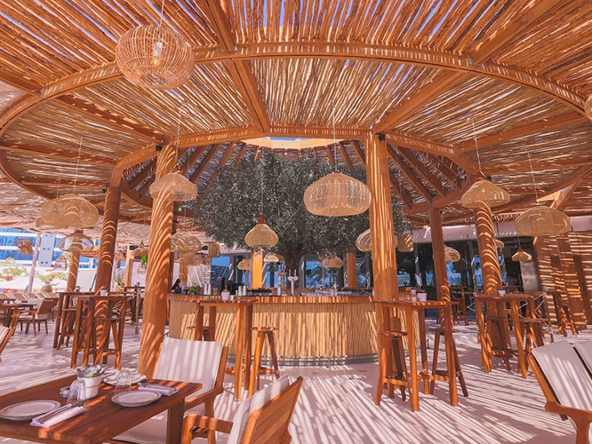 Rattan Light Fixture With Wooden Piece For Restaurant & Café