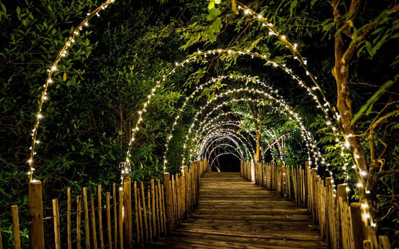 Outdoor Party Pathway Light Ideas