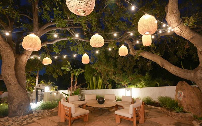 Outdoor Tree Bamboo Lanterns Hung From Branches