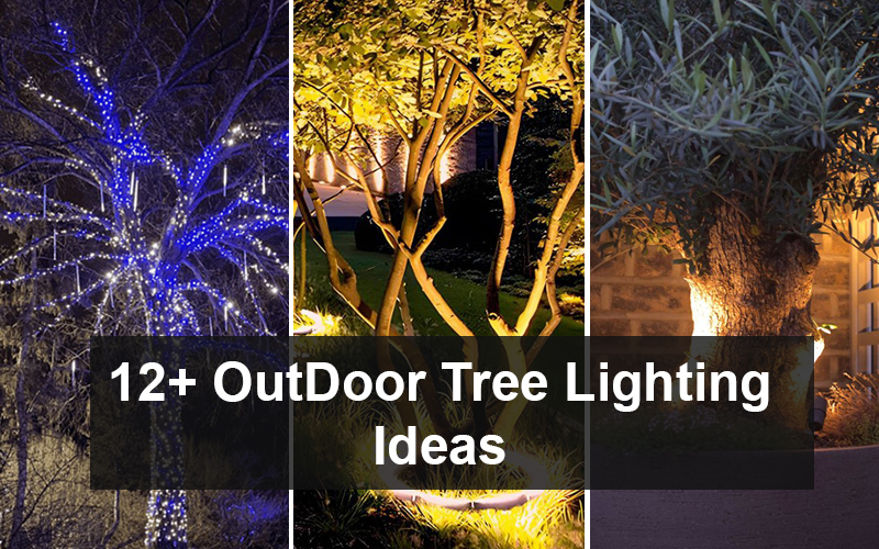 Outdoor Tree Lighting Ideas