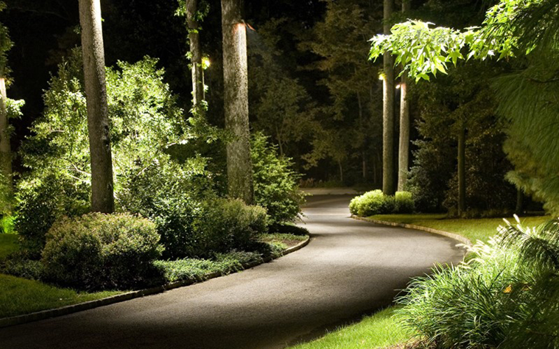 Pathway Tree-mounted Downlights