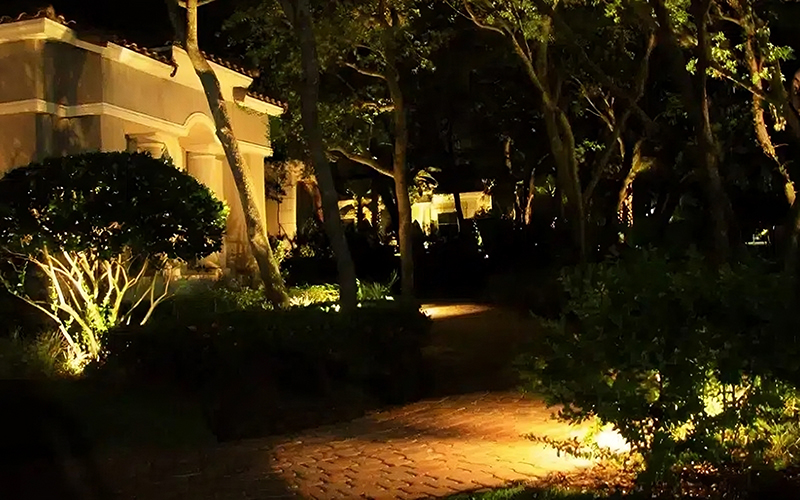 Pathway Up-lit Plants Lighting