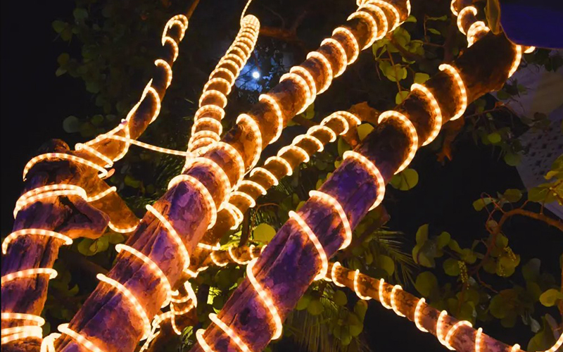 Rope Light For Outdoor Tree