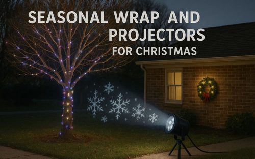 15+ Outdoor Tree Lighting Ideas to Transform Your Garden at Night