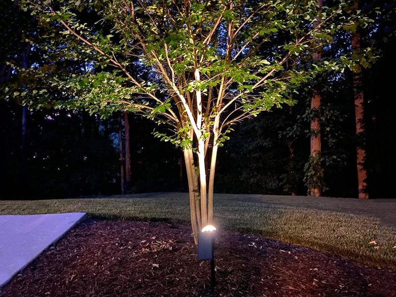 Solar Ground Light For Outdoor Tree
