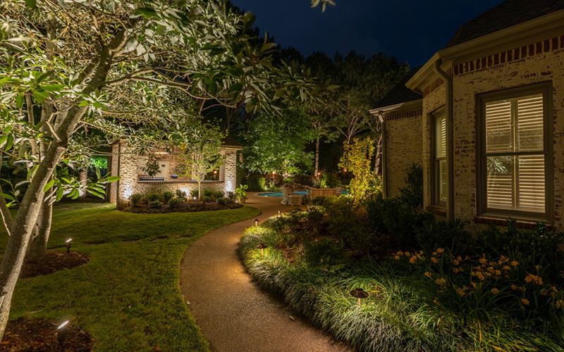 Tree Accent Lighting Along The Pathway
