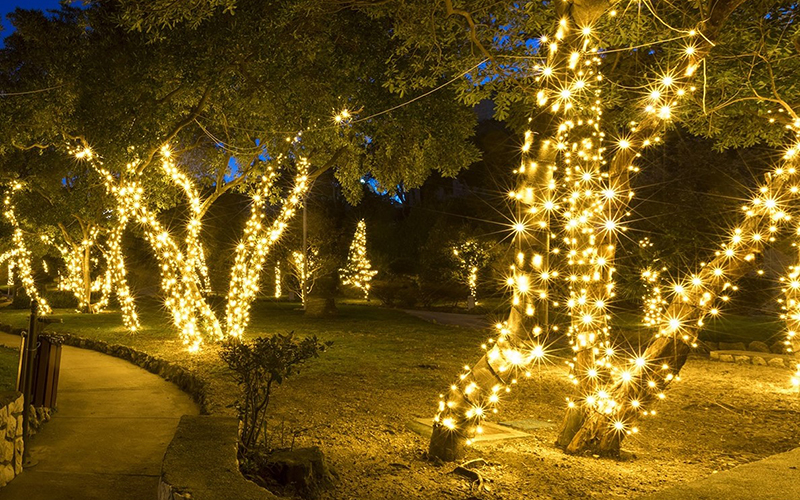 Whimsical Outdoor Lighting With Warm White Fairy Lights