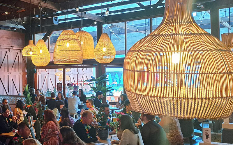 Bamboo And Rattan Lighting Creates A Sense Of Comfort For Customers As They Step Into Your Space