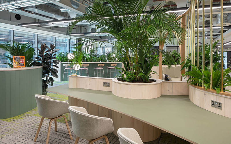 Transform The Workplace With Biophilic Interior Design To Improve Productivity And Well-being