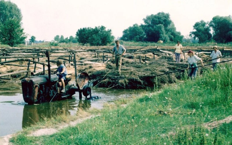 Traditional Hemp Water Retting