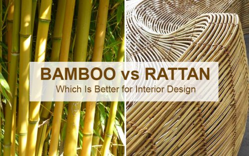 Bamboo Vs Rattan - Which Is Better For Interior Design