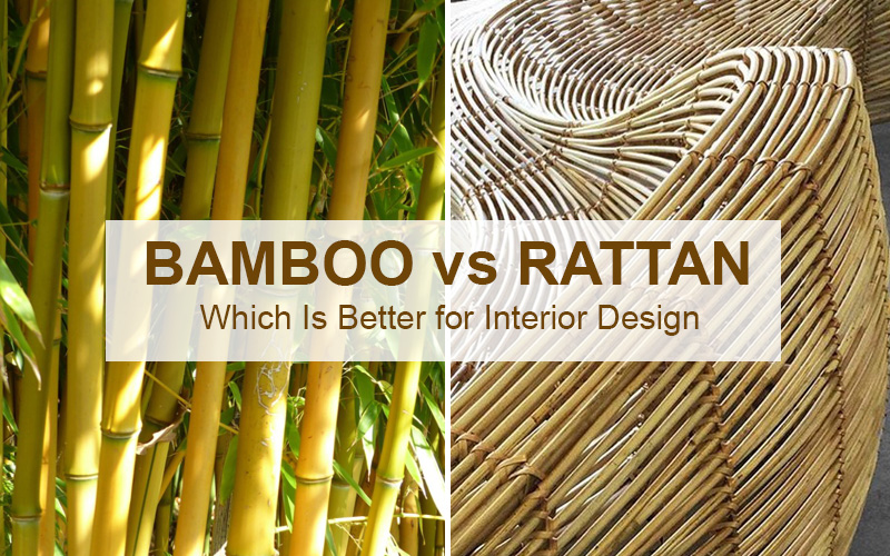Bamboo Vs Rattan - Which Is Better For Interior Design