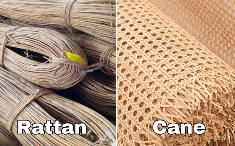 Rattan Vs Cane Webbing - Key Differences