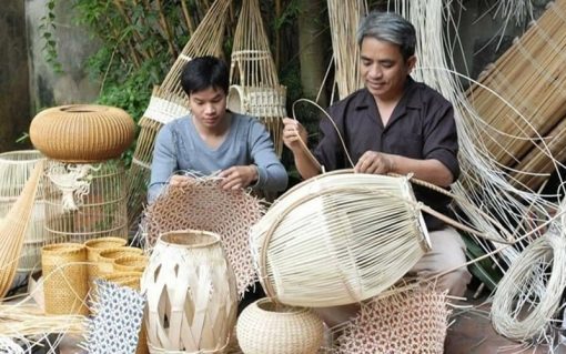 What Is Rattan? Definition, Uses & Benefits of This Natural Material