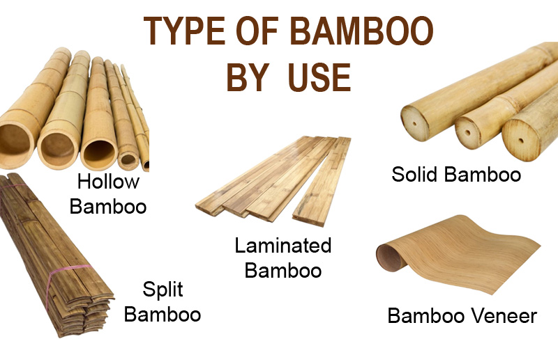 Types Of Bamboo By Structure Or Use