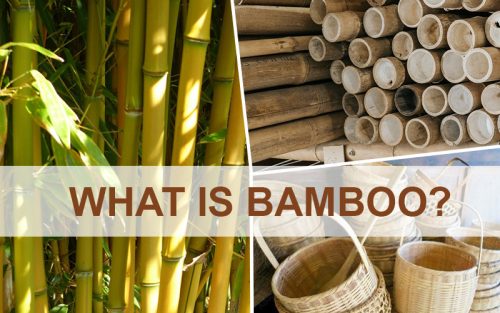 What Is Bamboo Material
