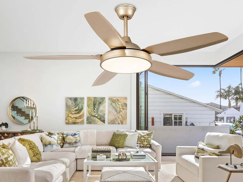 Living Room Ceiling Fans