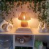 Woven Rattan Table Lamp Styled on Bookshelf